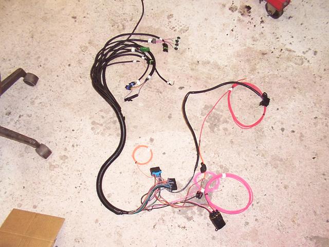 AFI wiring harness