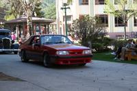 img_8182