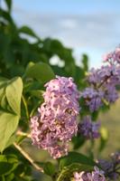 img_8268