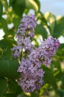 img_8270