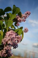 img_8273