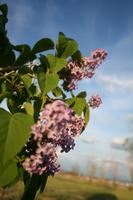 img_8275