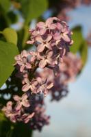 img_8276