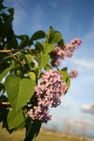 img_8279
