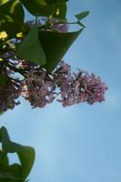 img_8283