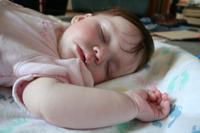 IMG_8494