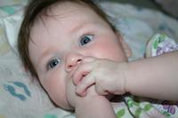 IMG_8516
