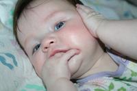 IMG_8521
