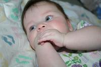 IMG_8525