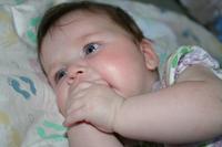 IMG_8526