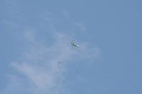 IMG_8678