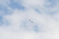IMG_8681