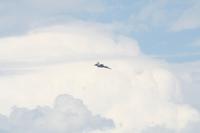 IMG_8684