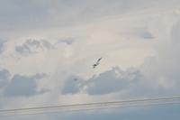 IMG_8686