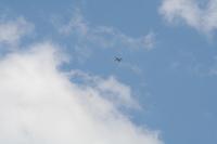 IMG_8711