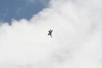 IMG_8728