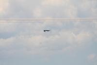 IMG_8770