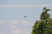 IMG_8775