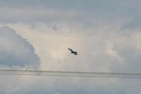 IMG_8786