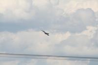 IMG_8789