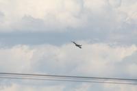IMG_8791