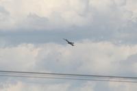 IMG_8792