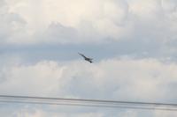 IMG_8793