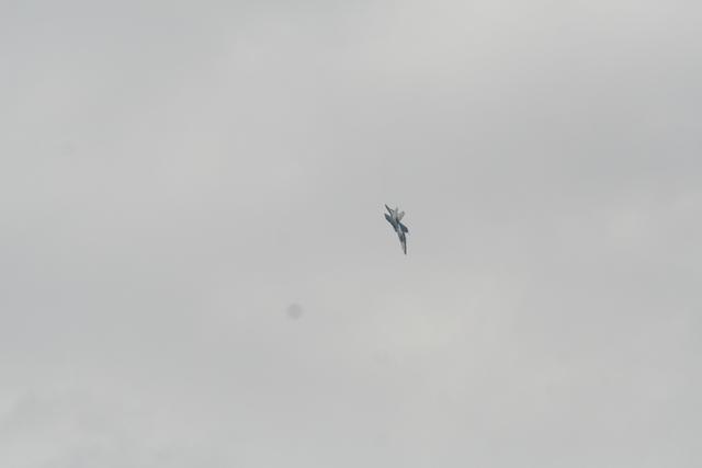 IMG_8818