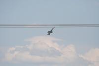 IMG_8822