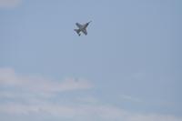 IMG_8827