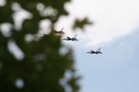IMG_8859