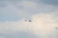 IMG_8878