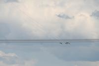 IMG_8881