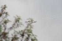 IMG_8970