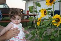 IMG_0025