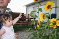 IMG_0029
