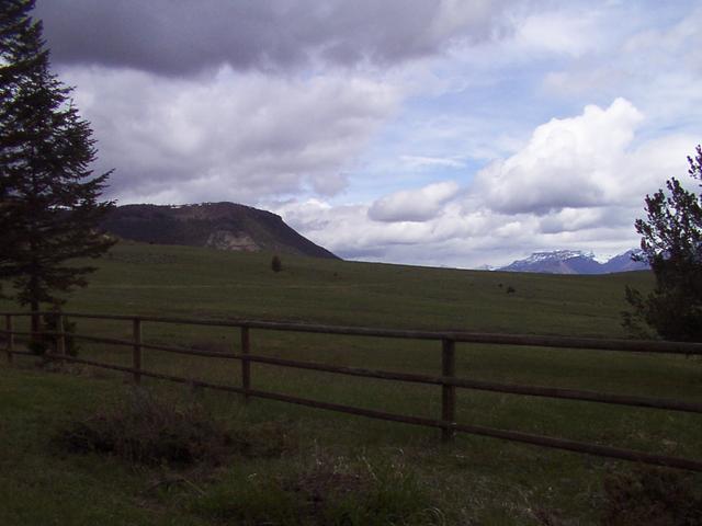 DCP_0010.JPG