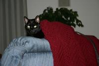 img_0261.jpg