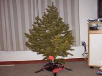 Christmas 2004