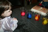 IMG_8408