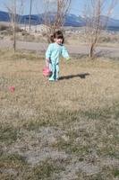 IMG_8529