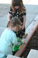 IMG_8586
