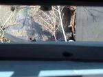 2012-04-14_12-59-30_676
