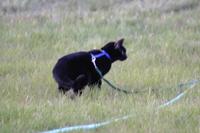 img_2410.jpg