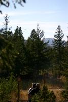 img_3940.jpg