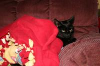 IMG_5203.JPG
