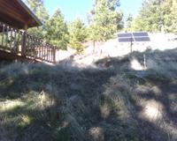 11-20-05_1403.jpg
