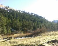11-20-05_1405.jpg
