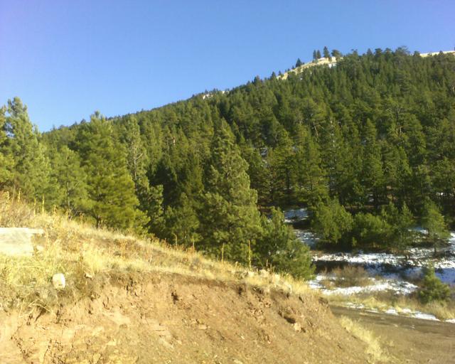 11-20-05_1406.jpg