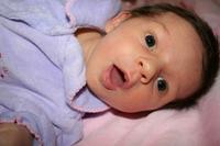 IMG_6502.JPG